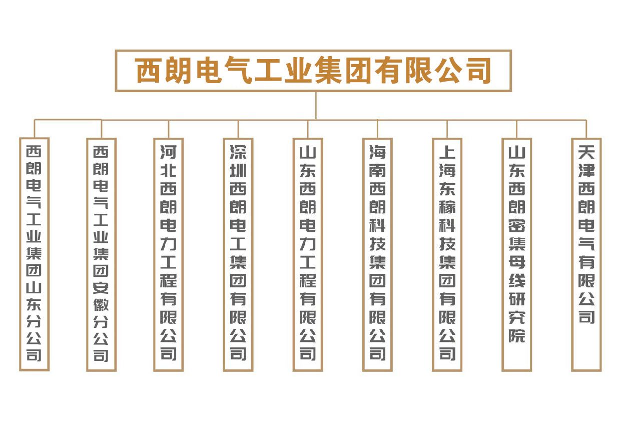 集团成员